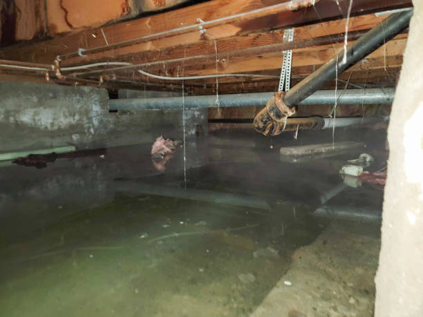 Water damage restoration insurance claims in NY