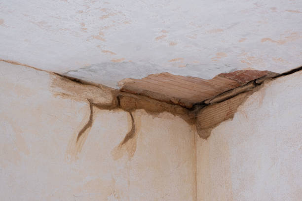Best Sewage cleanup and water damage restoration  in Syracuse, NY