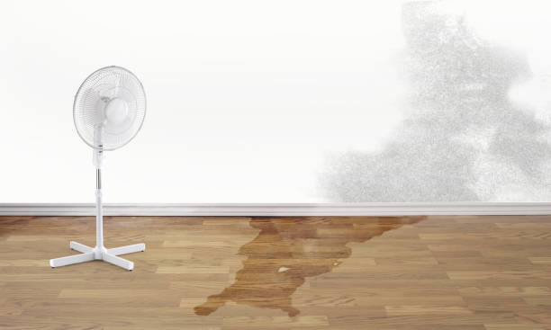 Best Fire Damage Restoration  in Syracuse, NY